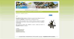 Desktop Screenshot of despedidasdesolteroandorra.musibodas.com